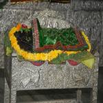 Vraj-Yatra-2014- (1438)